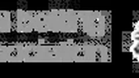 新春观察：优化营商环境，助推民营企业强劲增长