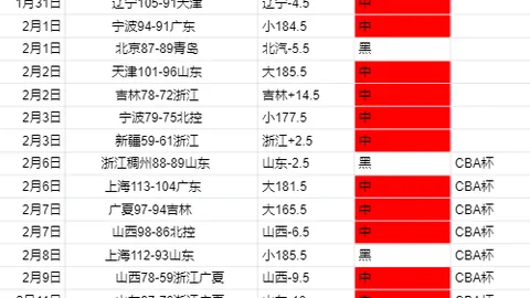 拜仁引援目标：奈斯塔德，特温特标价1000万欧